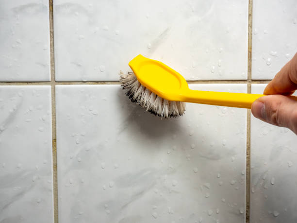 Best Black Mold Removal  in Kilmarnock, VA
