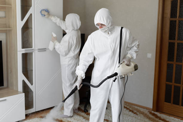 Best Mold Removal Process  in Kilmarnock, VA
